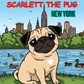Scarlett the Pug  New York  Coloring Book for Kids