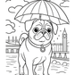 Scarlett the Pug's UK Adventures