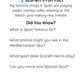 Scarlett the Pug Adventures: Spain – Digital Download (PDF) 🐾