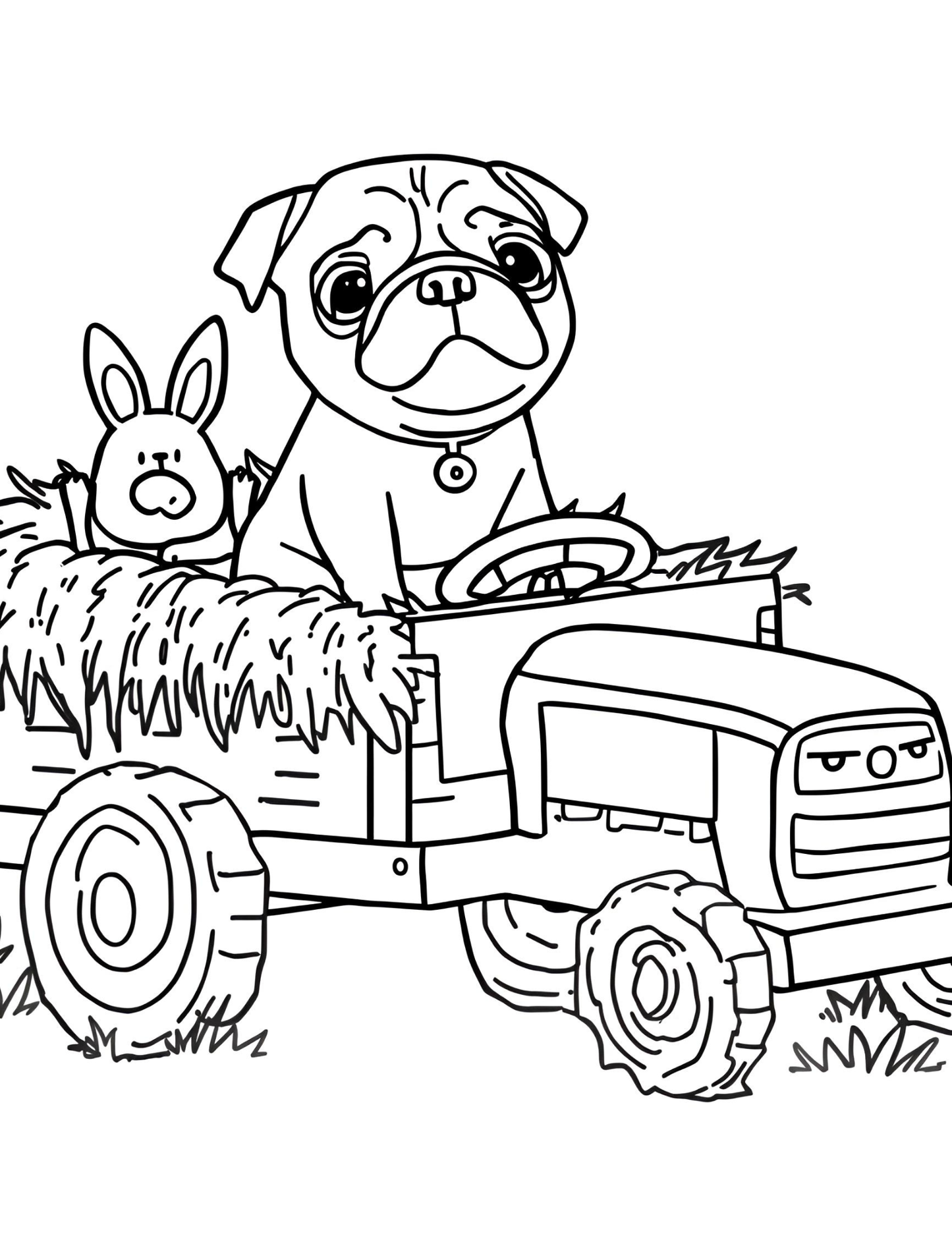 Scarlett the Pug  New York  Coloring Book for Kids